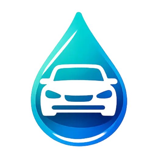 Lavage auto à domicile Tartaras